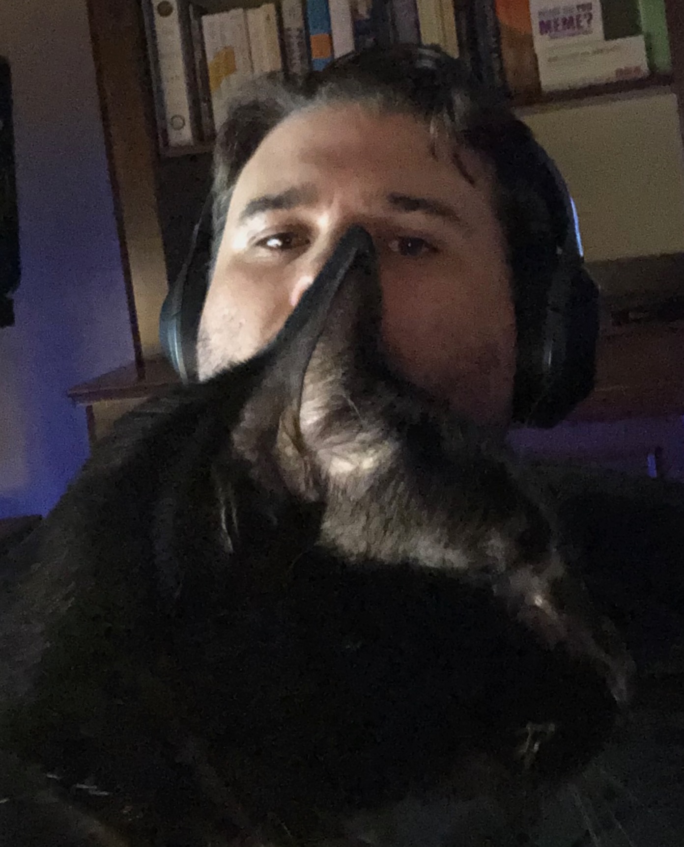 coreylane's Repository's Icon