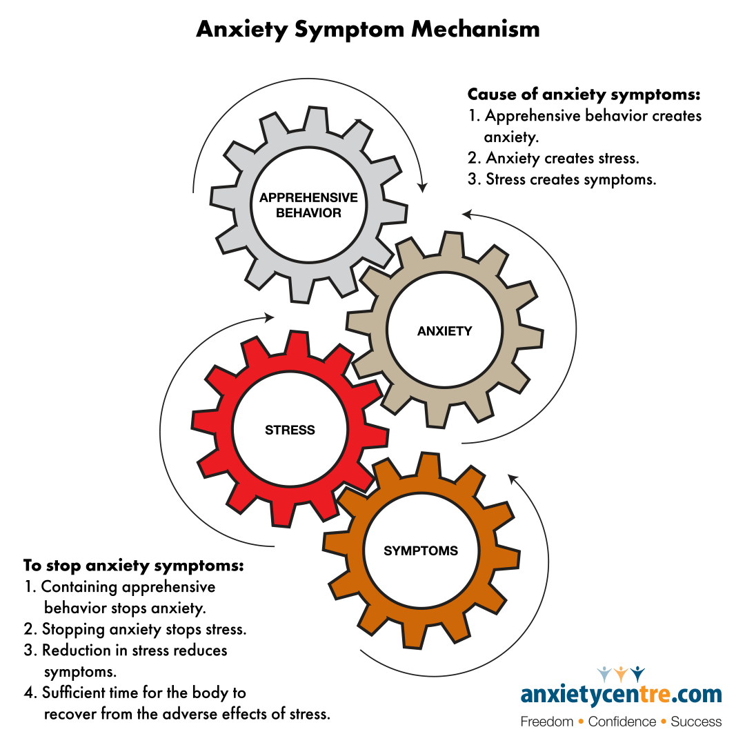 anxiety symptom mechanism