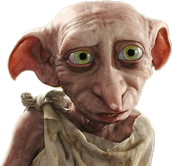Dobby's Icon