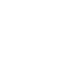PiGallery2's Icon