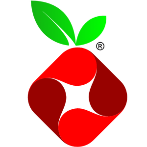 Pihole-DoT-DoH's Icon