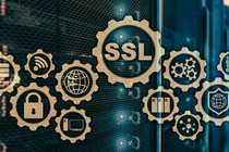 SSL Certs 2