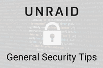 Unraid Seguridad